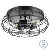 Prominence Home Lincoln Woods, 15 in. Flush Mount Light with Cage, Matte Black 51552-40